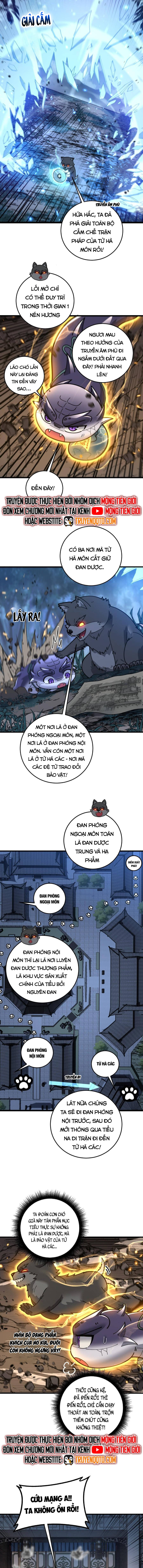 Lão Xà Tu Tiên Truyện Chapter 33 - Trang 8