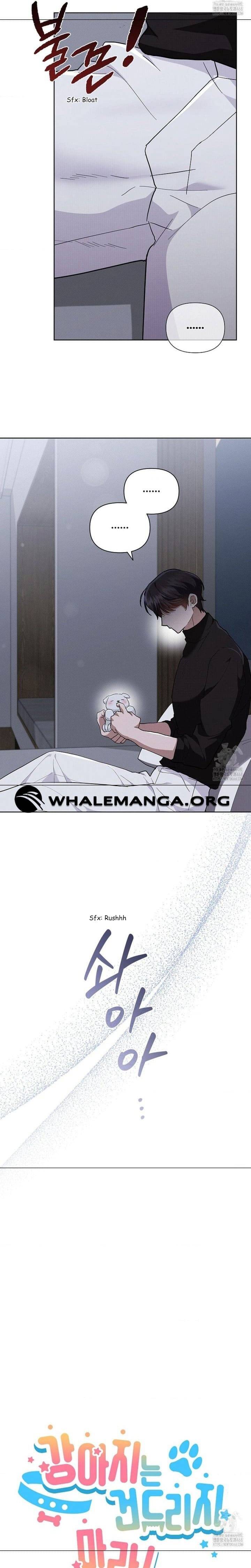 Đừng Đùa Với Cún Con - Chapter 31 - Page 3