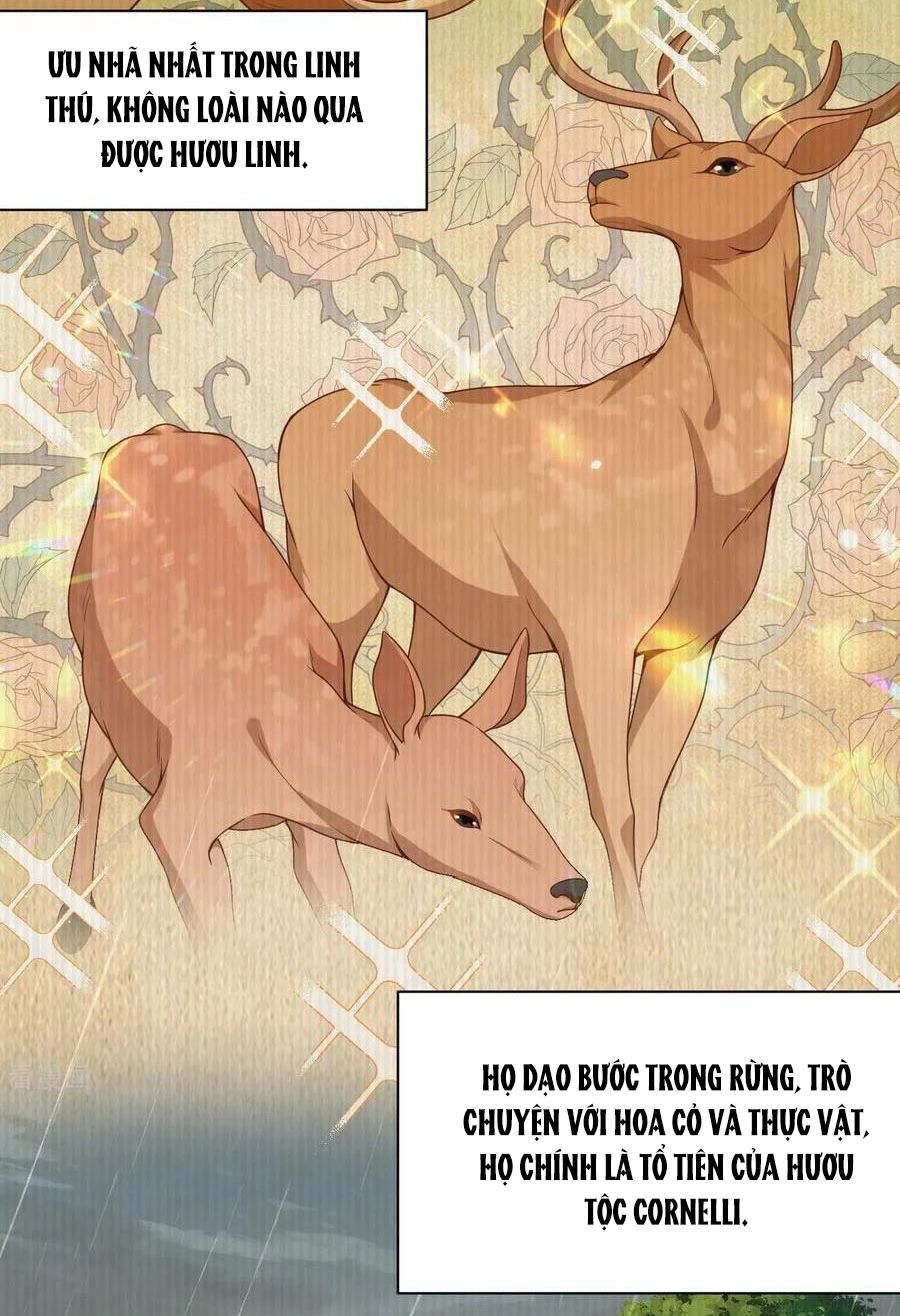 Từ Hôm Nay Bắt Đầu Làm Thành Chủ - Chapter 481 - Page 4