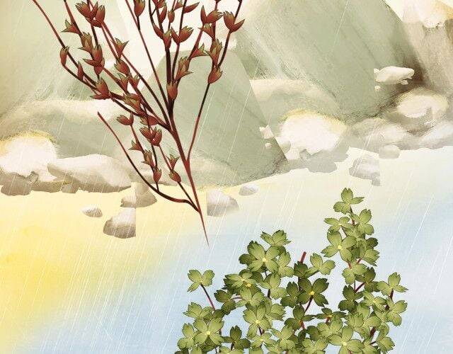 Tướng Quân, Cẩn Thận Chó Dữ - Chapter 12 - Page 72