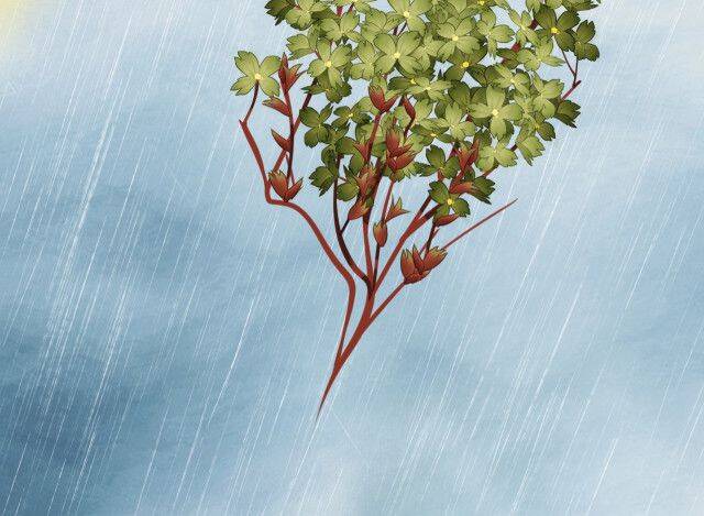 Tướng Quân, Cẩn Thận Chó Dữ - Chapter 12 - Page 73