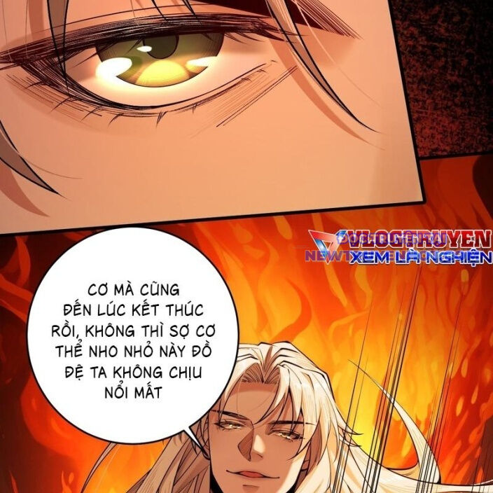 Gặp Mạnh Thì Càng Mạnh, Tu Vi Của Ta Không Giới Hạn - Chapter 33 - Page 14