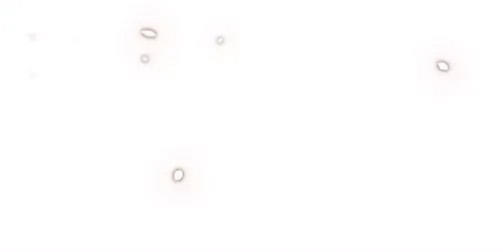 Cốt Binh Trở Lại - Chapter 23 - Page 12