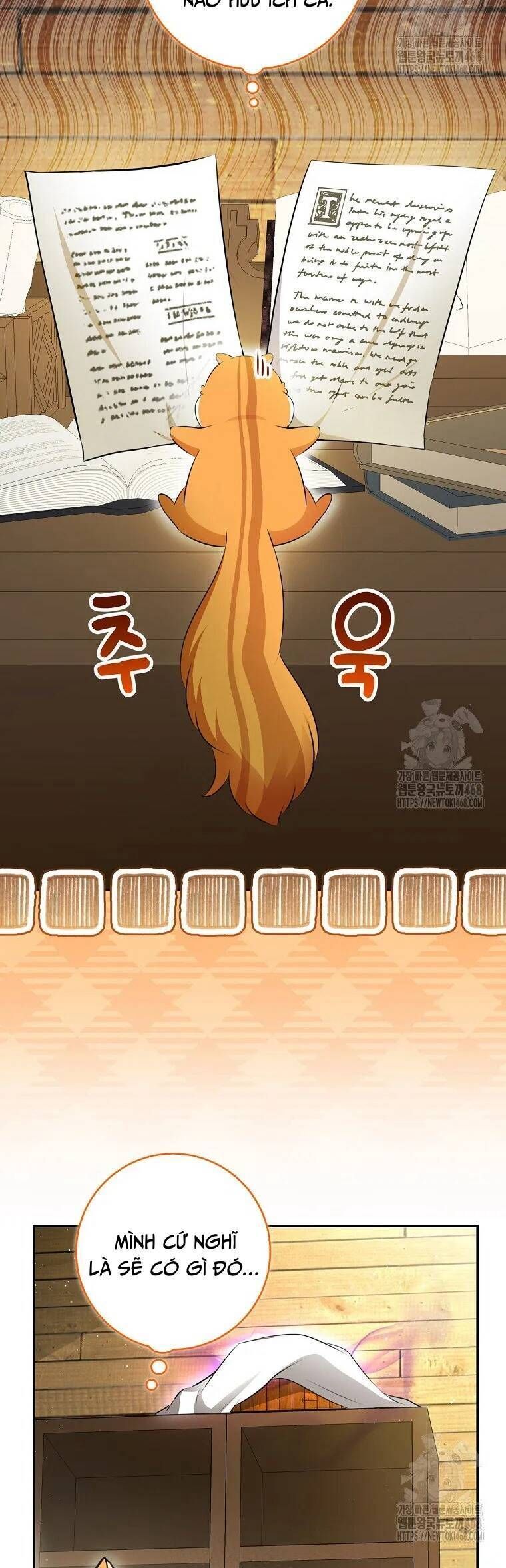 Sóc Nhỏ Tài Năng - Chapter 104 - Page 24
