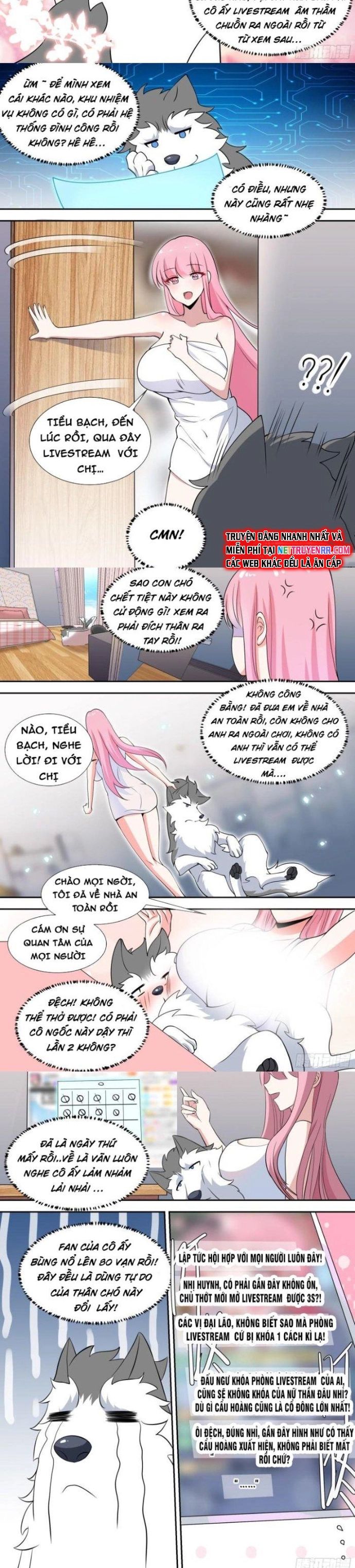 Trọng Sinh Thành Chó Của Nữ Thần - Chapter 81 - Page 3