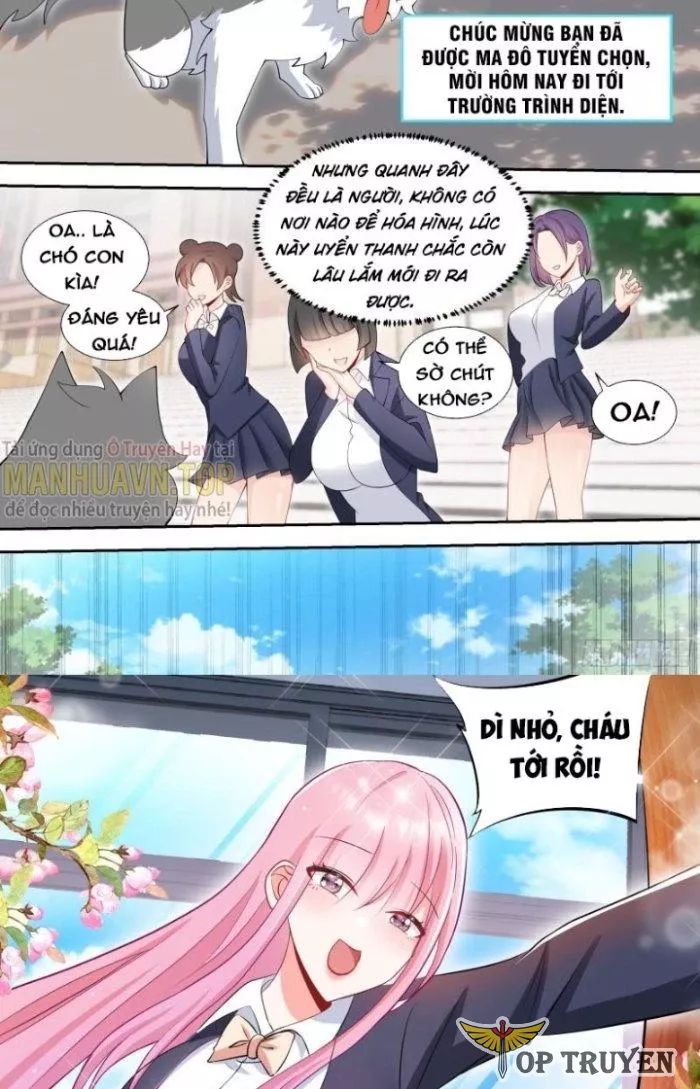 Trọng Sinh Thành Chó Của Nữ Thần - Chapter 88 - Page 4