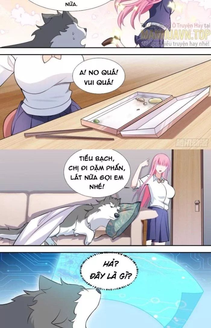 Trọng Sinh Thành Chó Của Nữ Thần - Chapter 89 - Page 6