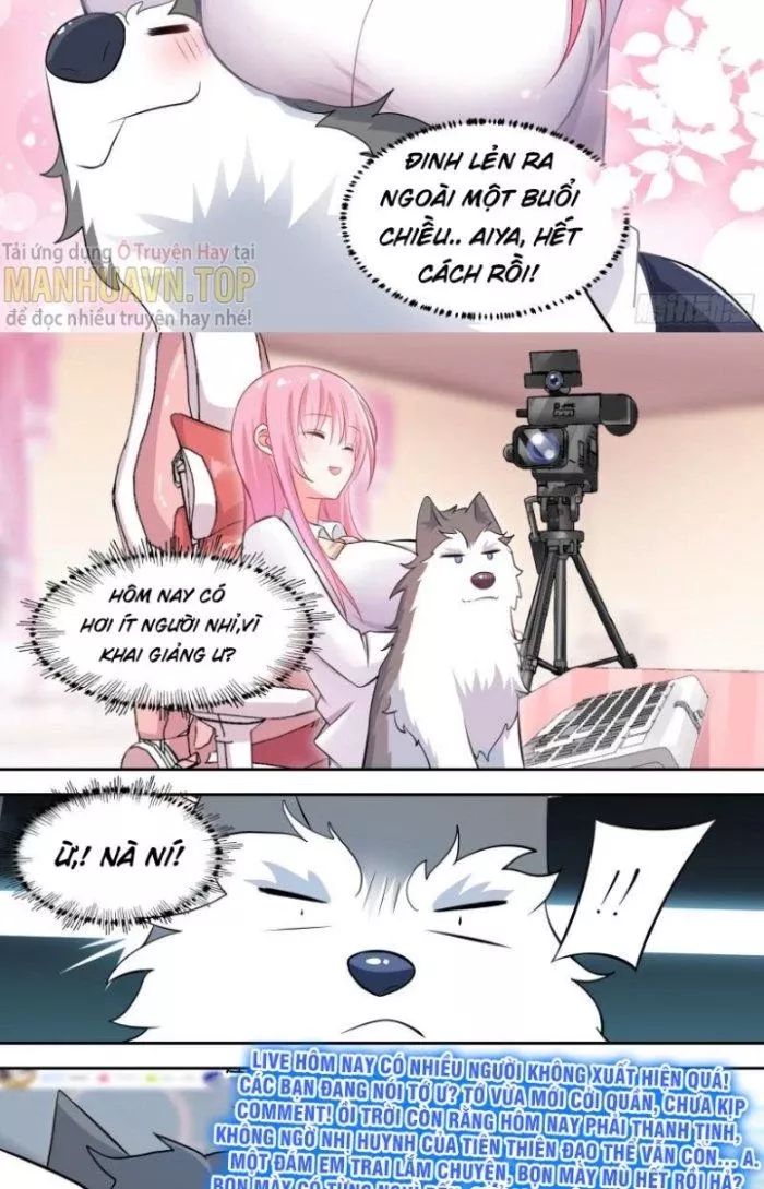 Trọng Sinh Thành Chó Của Nữ Thần - Chapter 89 - Page 8