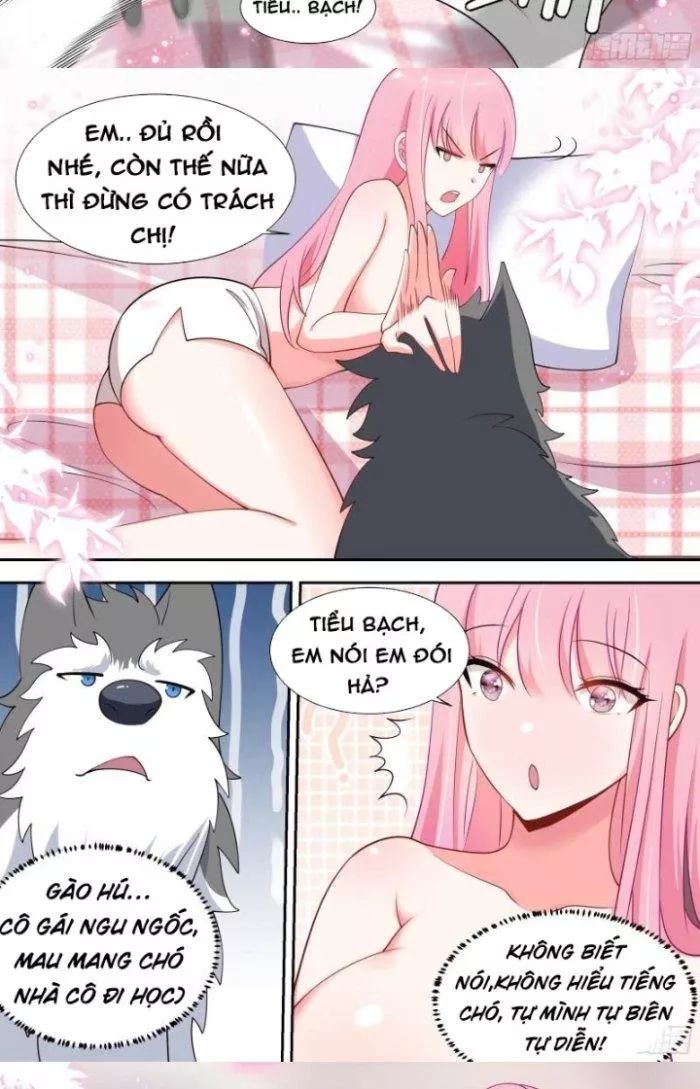 Trọng Sinh Thành Chó Của Nữ Thần - Chapter 90 - Page 10