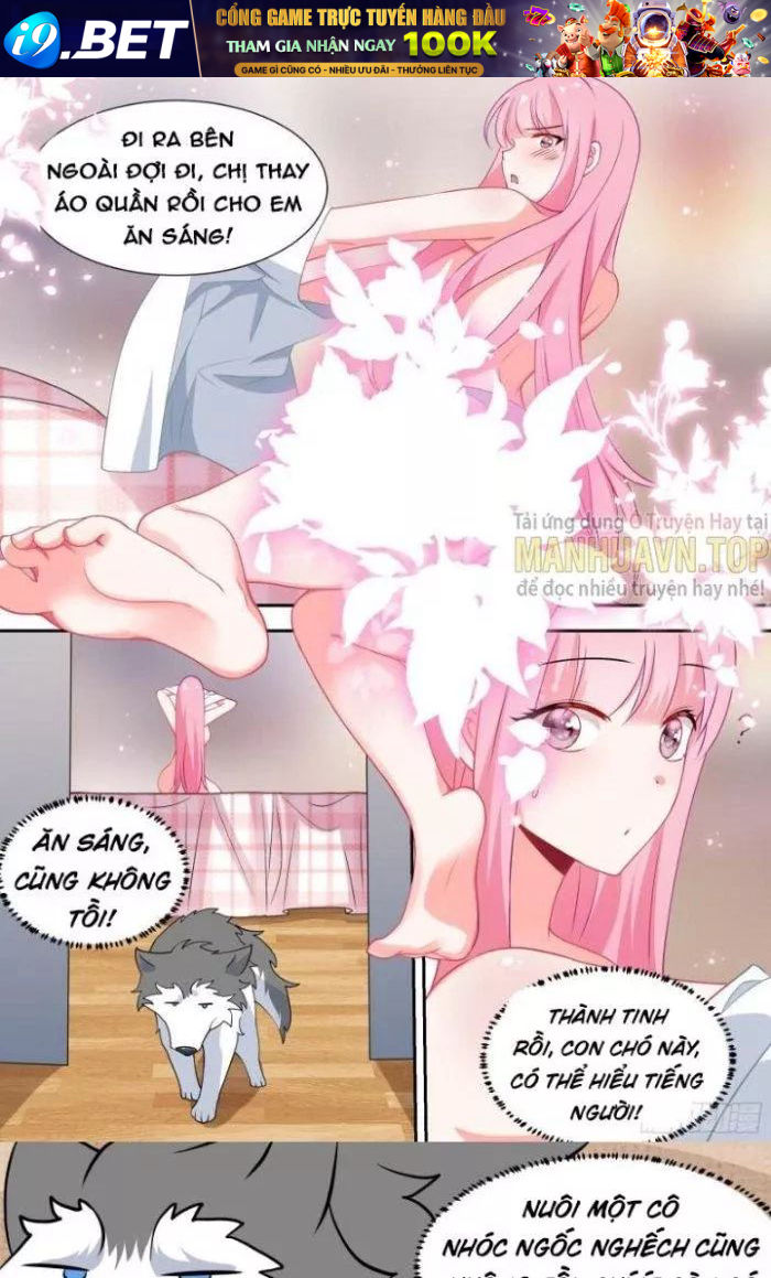 Trọng Sinh Thành Chó Của Nữ Thần - Chapter 90 - Page 11