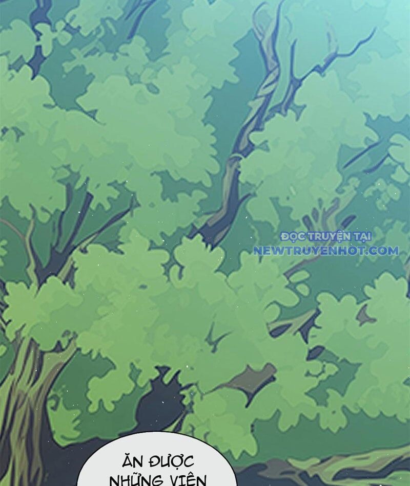 Ta Thành Vương Giả Từ Khắc Kim Chapter 11 - Trang 9