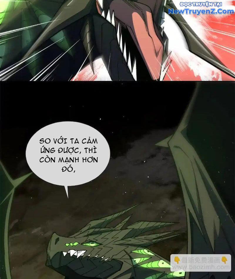 Ta Thành Vương Giả Từ Khắc Kim Chapter 25 - Trang 9