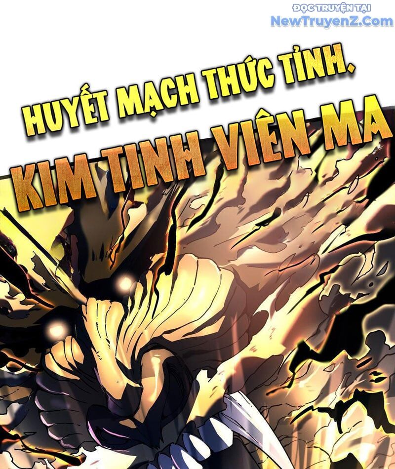 Cao Võ Tiến Hóa: Bắt Đầu Thức Tỉnh Quái Thú Chi Vương - Chapter 7 - Page 81