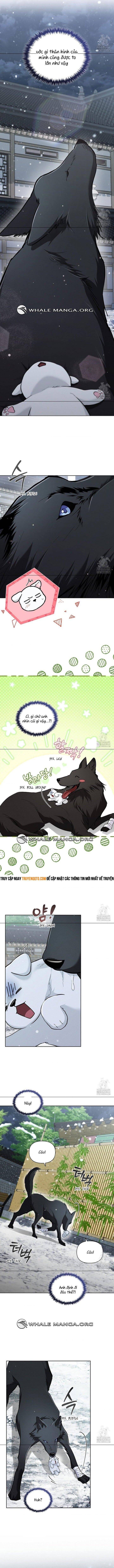 Đừng Đùa Với Cún Con - Chapter 34 - Page 3
