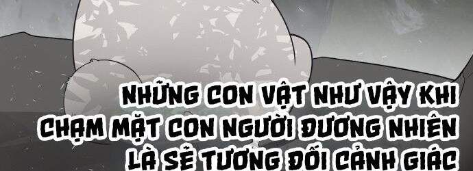 Kỷ Nguyên Siêu Anh Hùng Chapter 70 - Trang 64