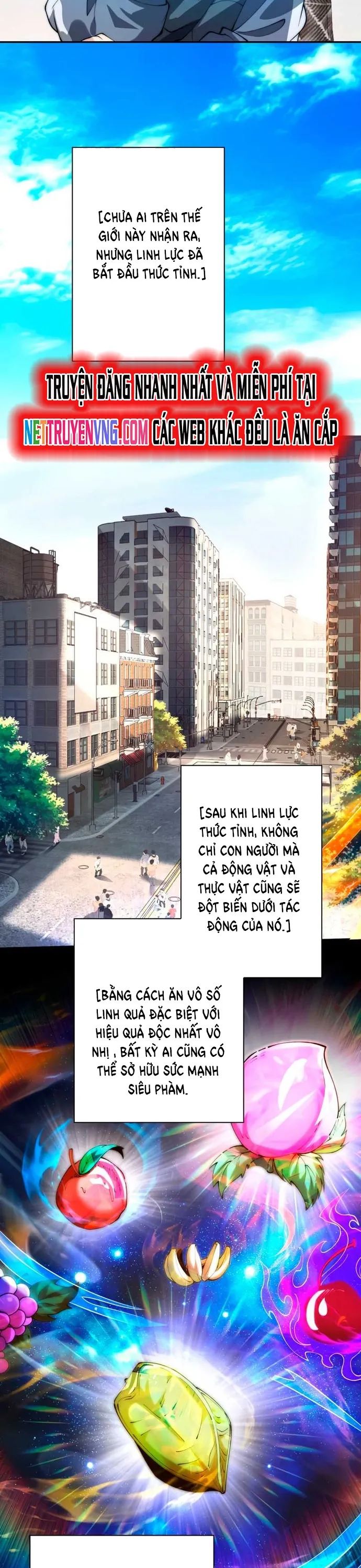 Trùng Sinh: Tôi Đứng Top Nhờ Hệ Thống Gian Lận Chapter 1 - Trang 11