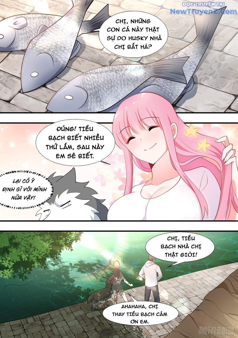 Trọng Sinh Thành Chó Của Nữ Thần - Chapter 100 - Page 10