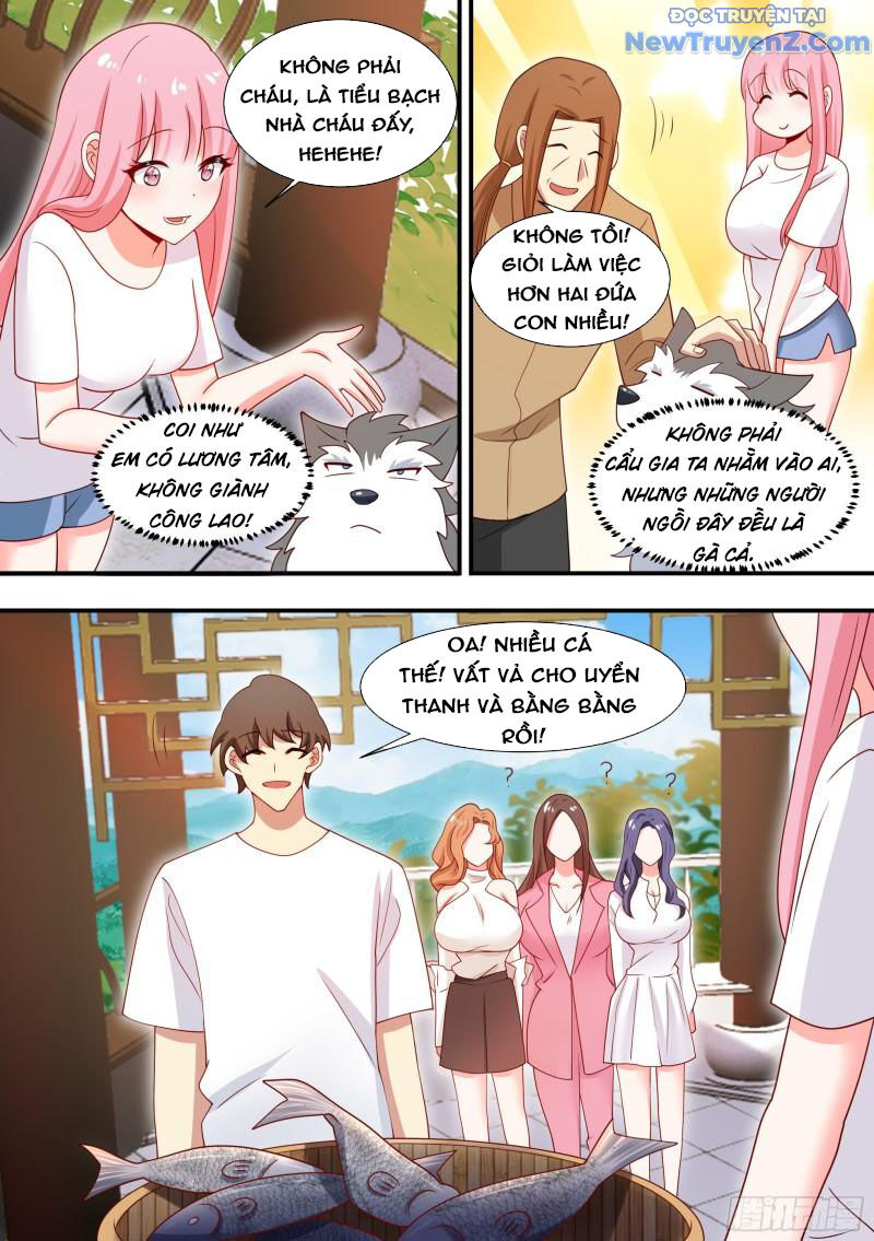 Trọng Sinh Thành Chó Của Nữ Thần - Chapter 101 - Page 8