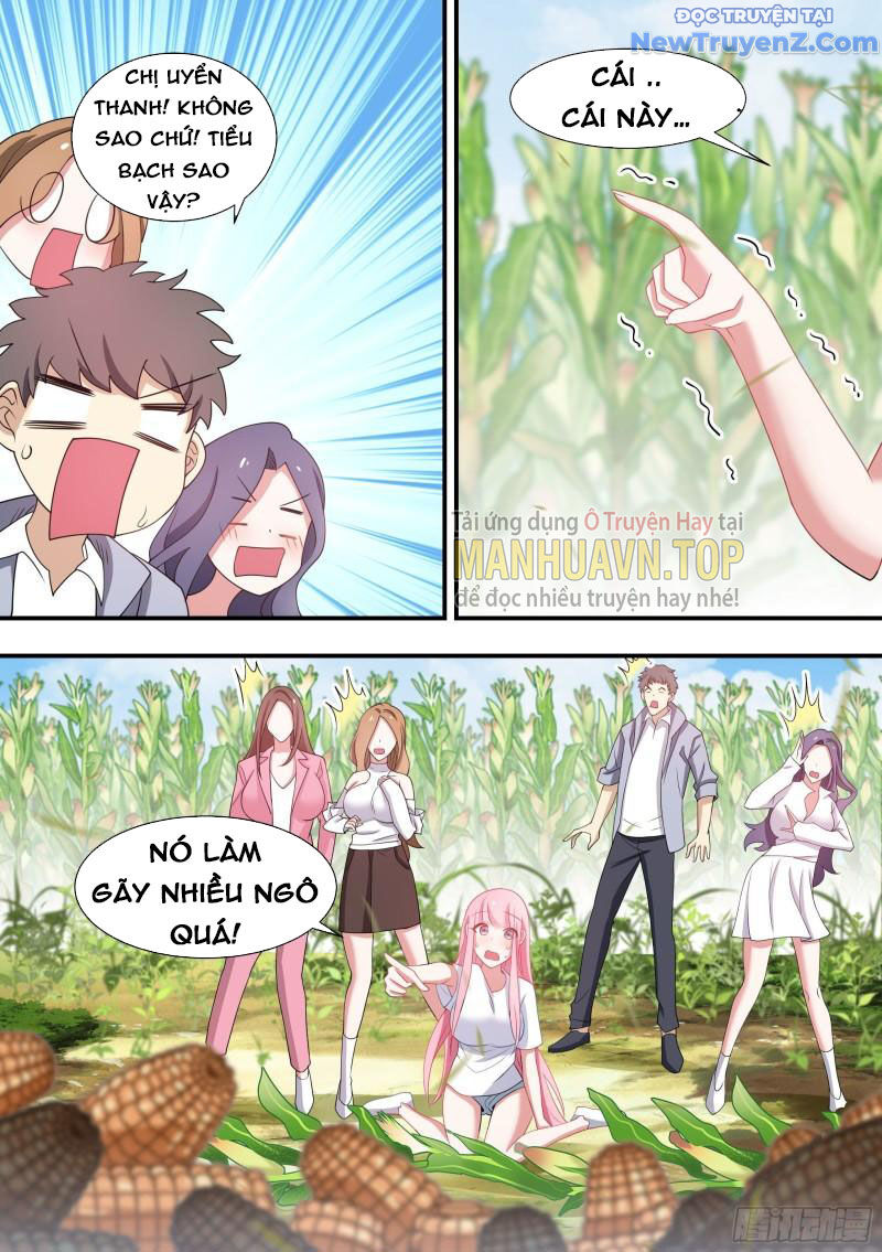 Trọng Sinh Thành Chó Của Nữ Thần - Chapter 102 - Page 11