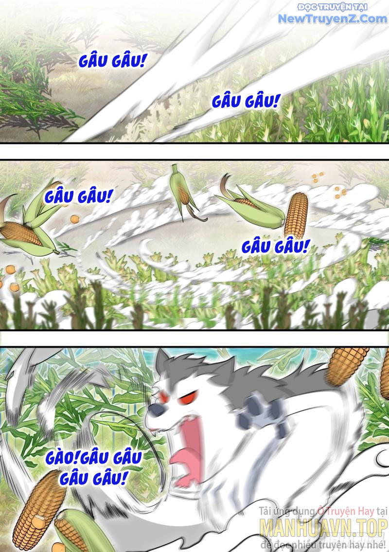 Trọng Sinh Thành Chó Của Nữ Thần - Chapter 102 - Page 7