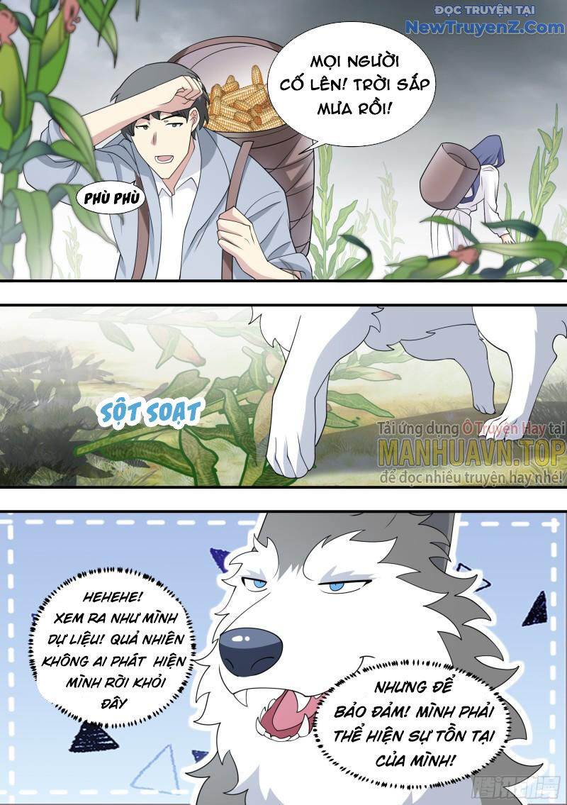 Trọng Sinh Thành Chó Của Nữ Thần - Chapter 103 - Page 11