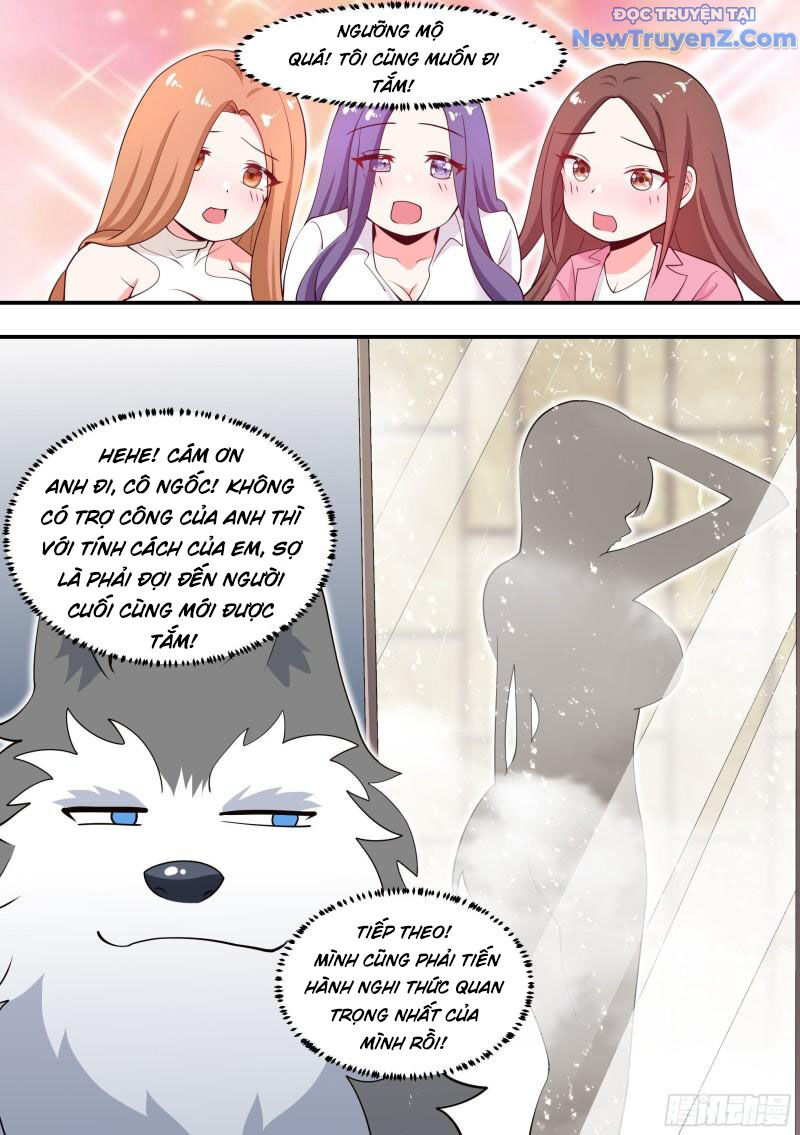Trọng Sinh Thành Chó Của Nữ Thần - Chapter 104 - Page 14