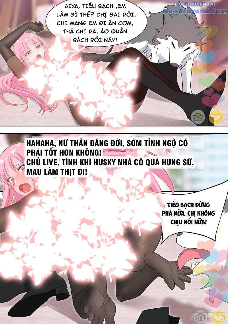 Trọng Sinh Thành Chó Của Nữ Thần - Chapter 98 - Page 3