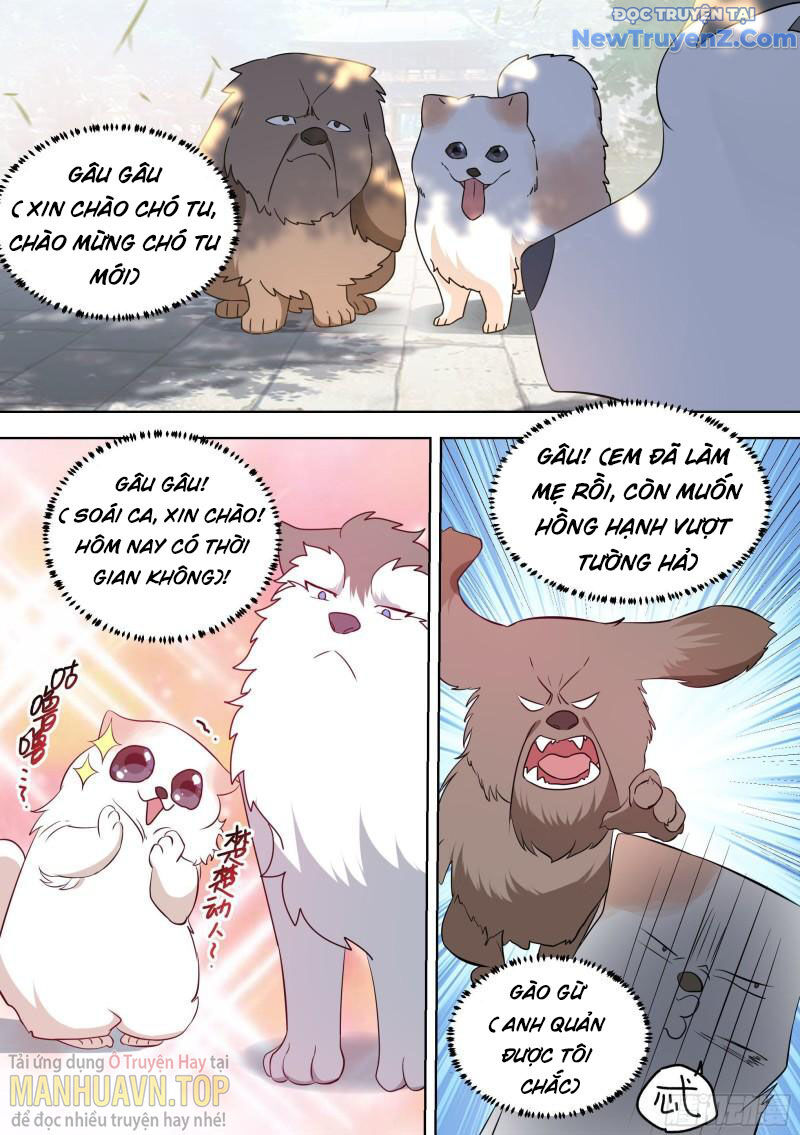 Trọng Sinh Thành Chó Của Nữ Thần - Chapter 99 - Page 11