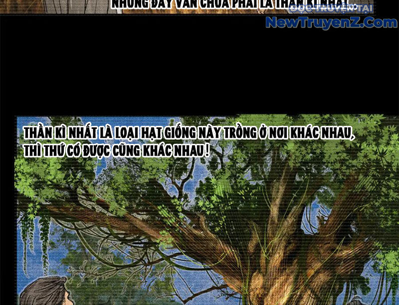 Thiên Hạ Đệ Nhất Lữ Bố - Chapter 125 - Page 55