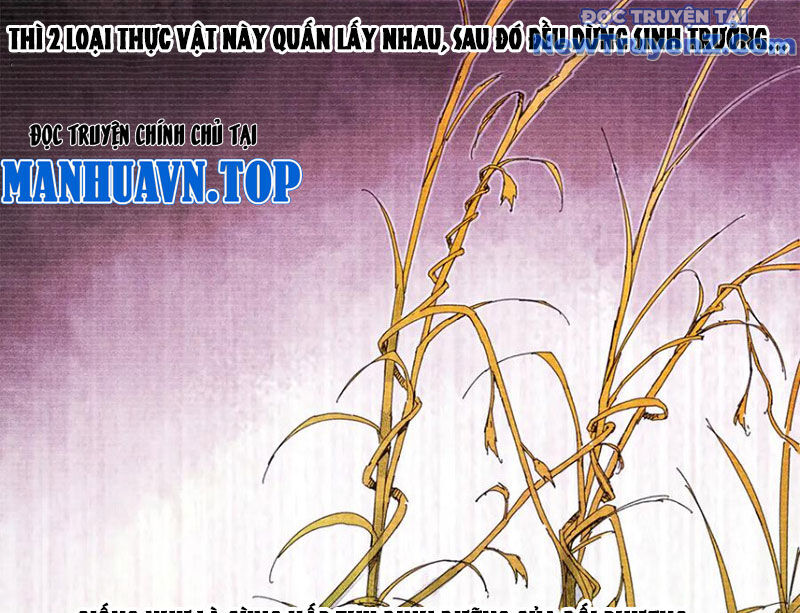 Thiên Hạ Đệ Nhất Lữ Bố - Chapter 125 - Page 82