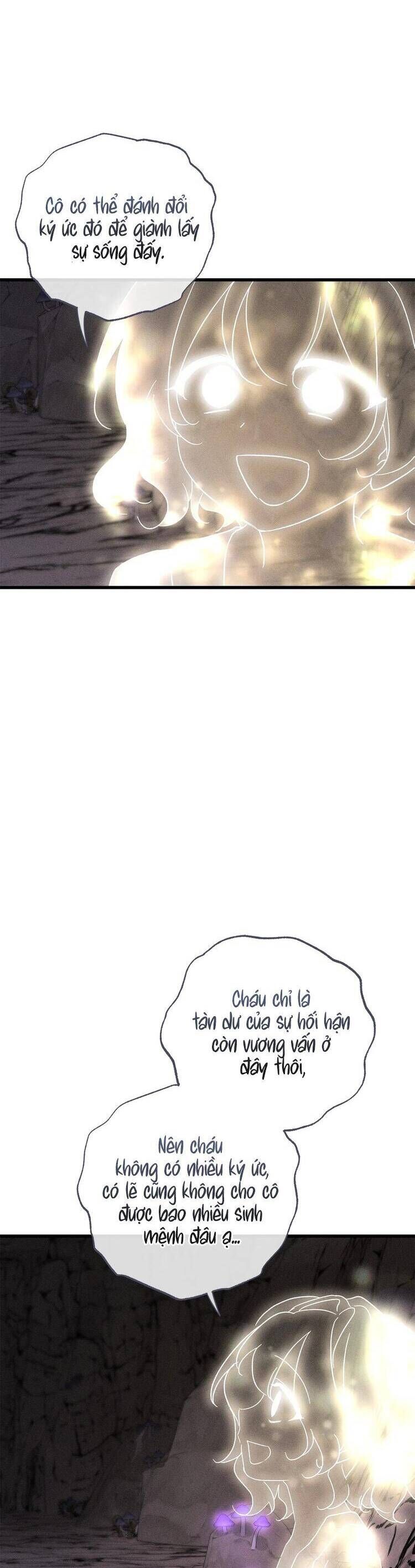 Vị Phu Quân Căm Ghét Tôi Đã Mất Trí Nhớ - Chapter 63 - Page 13