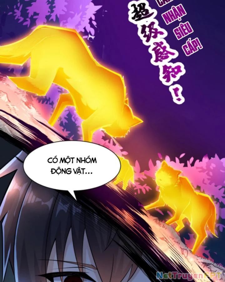 Học Cùng Em Gái, Không Cẩn Thận Trở Thành Vô Địch - Chapter 26 - Page 23