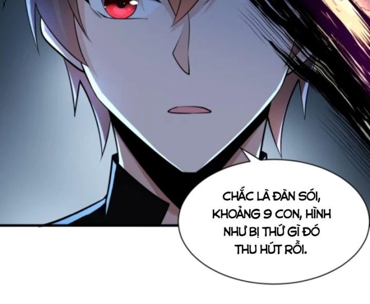 Học Cùng Em Gái, Không Cẩn Thận Trở Thành Vô Địch - Chapter 26 - Page 24