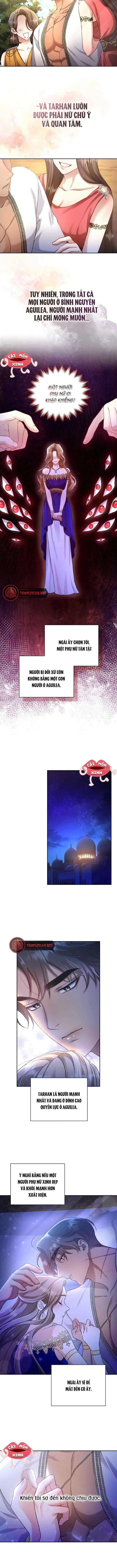 Khu Rừng Hoang Dã - Chapter 1 - Page 5