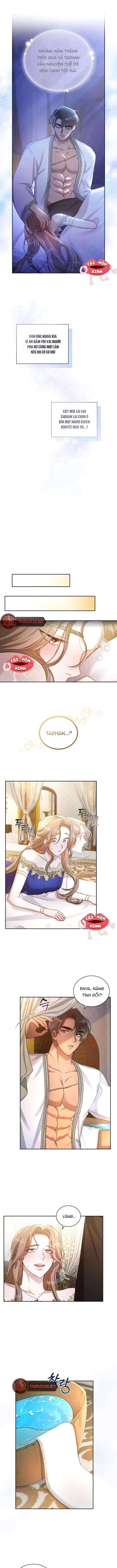 Khu Rừng Hoang Dã - Chapter 1 - Page 6