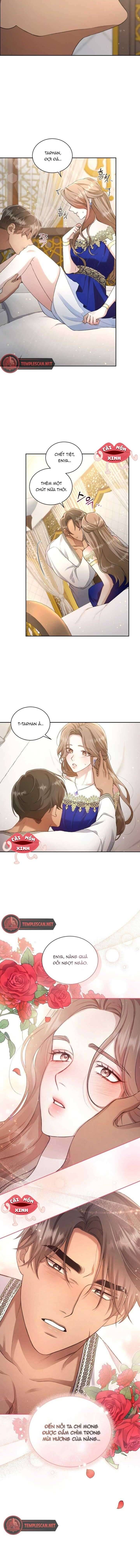 Khu Rừng Hoang Dã - Chapter 1 - Page 9