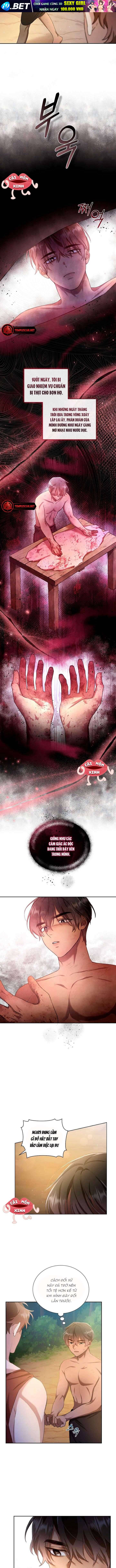 Khu Rừng Hoang Dã - Chapter 3 - Page 10