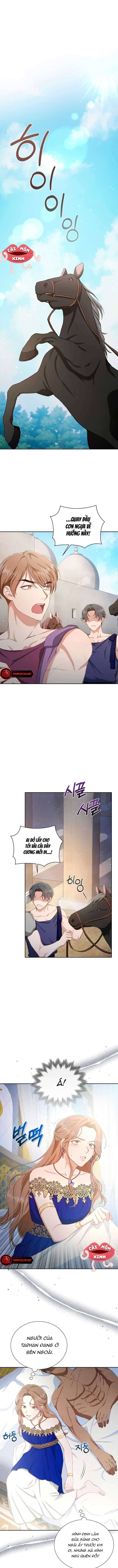 Khu Rừng Hoang Dã - Chapter 5 - Page 5