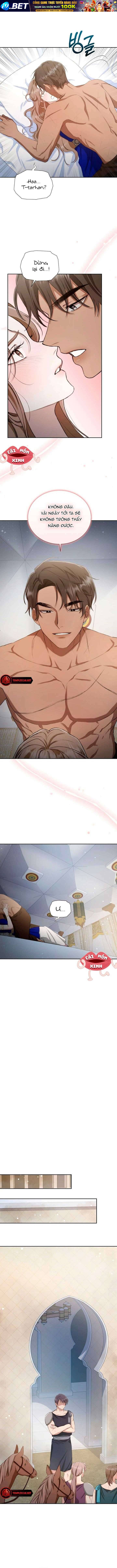 Khu Rừng Hoang Dã - Chapter 5 - Page 8