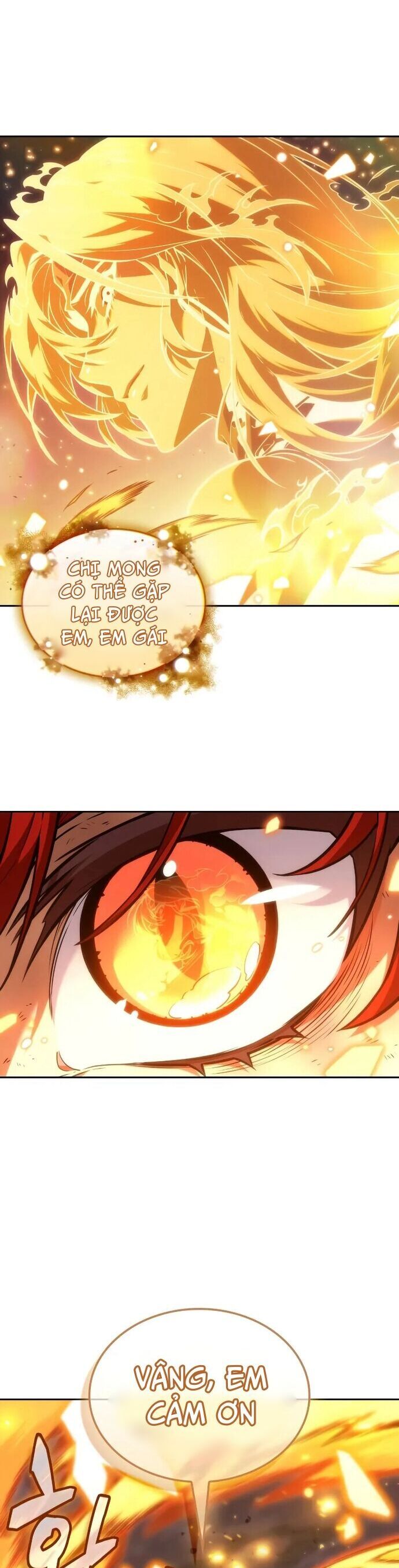 Mạo Hiểm Giả Cuối Cùng Chapter 68 - Trang 47