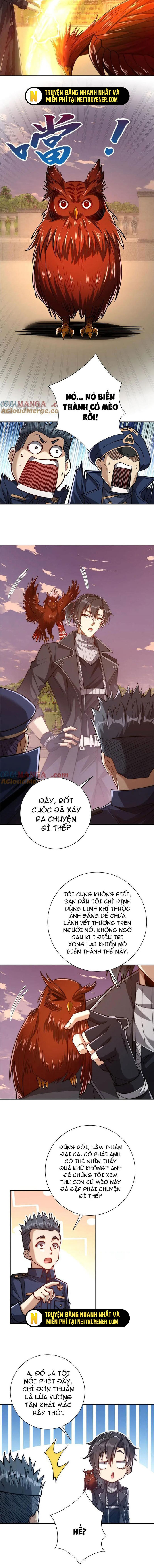 Dị Năng Trùng Sinh Ta Sớm Ở Đỉnh Cao Chapter 32 - Trang 11