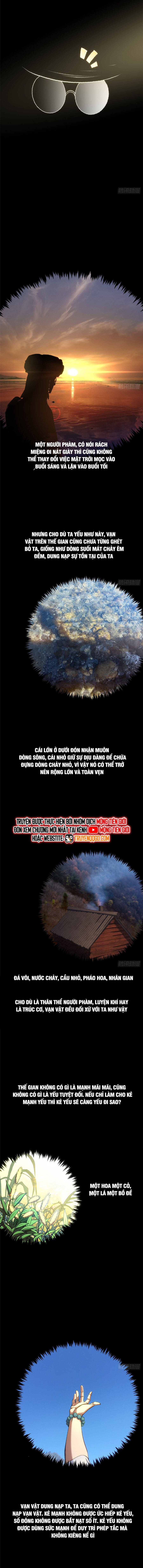 Đỉnh Cấp Khí Vận Lặng Lẽ Tu Luyện Ngàn Năm - Chapter 256 - Page 5