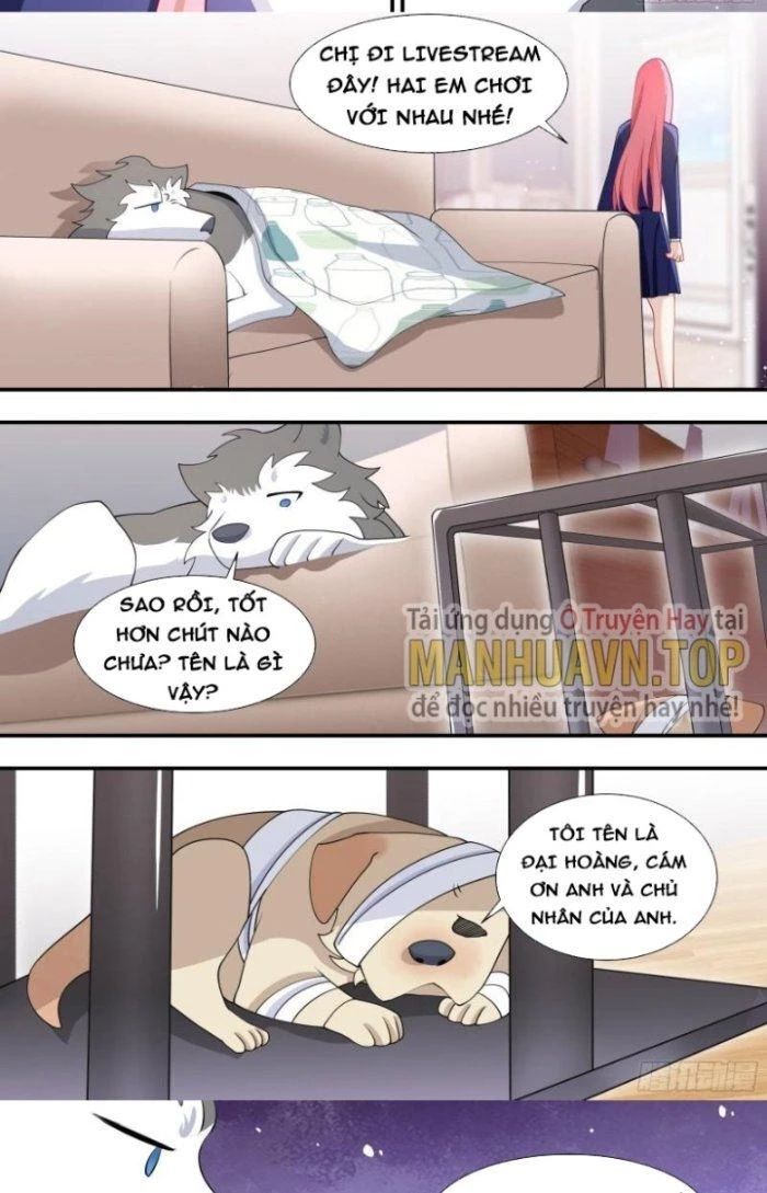 Trọng Sinh Thành Chó Của Nữ Thần - Chapter 126 - Page 11