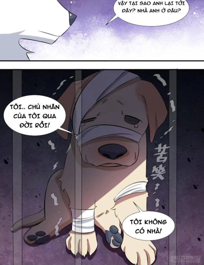 Trọng Sinh Thành Chó Của Nữ Thần - Chapter 126 - Page 12