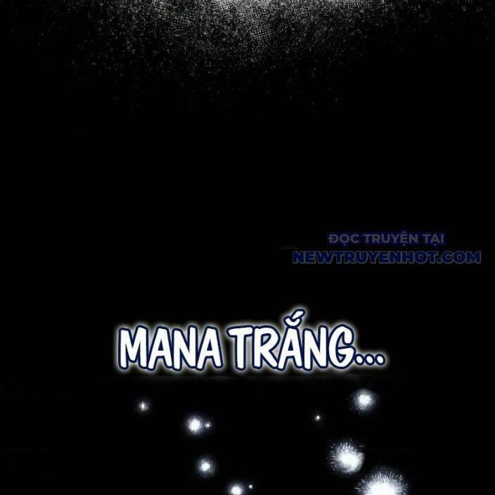 Đa Sắc Ma Pháp Sư Thiên Tài Chapter 15 - Trang 114