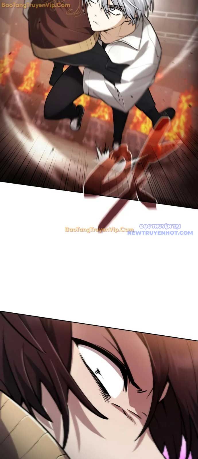 Đa Sắc Ma Pháp Sư Thiên Tài Chapter 24 - Trang 15