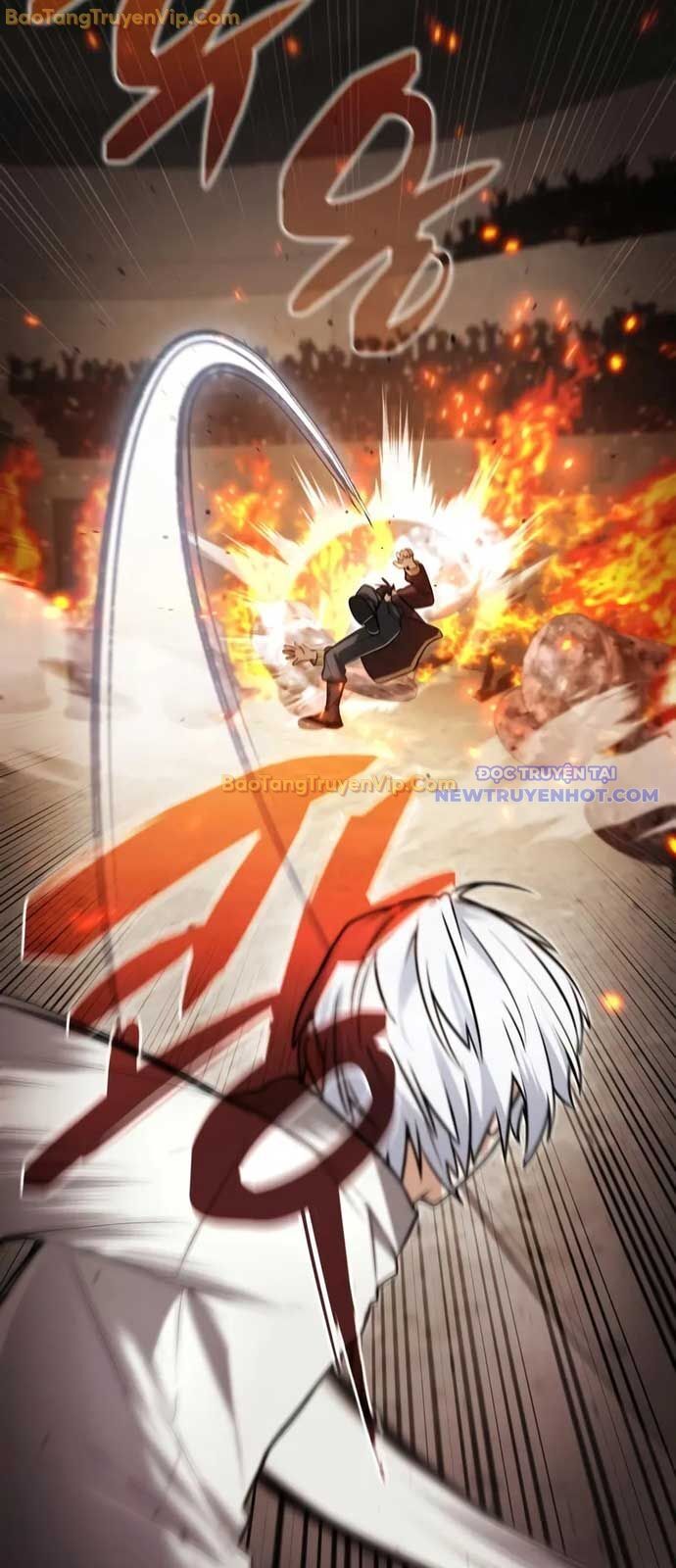 Đa Sắc Ma Pháp Sư Thiên Tài Chapter 24 - Trang 19