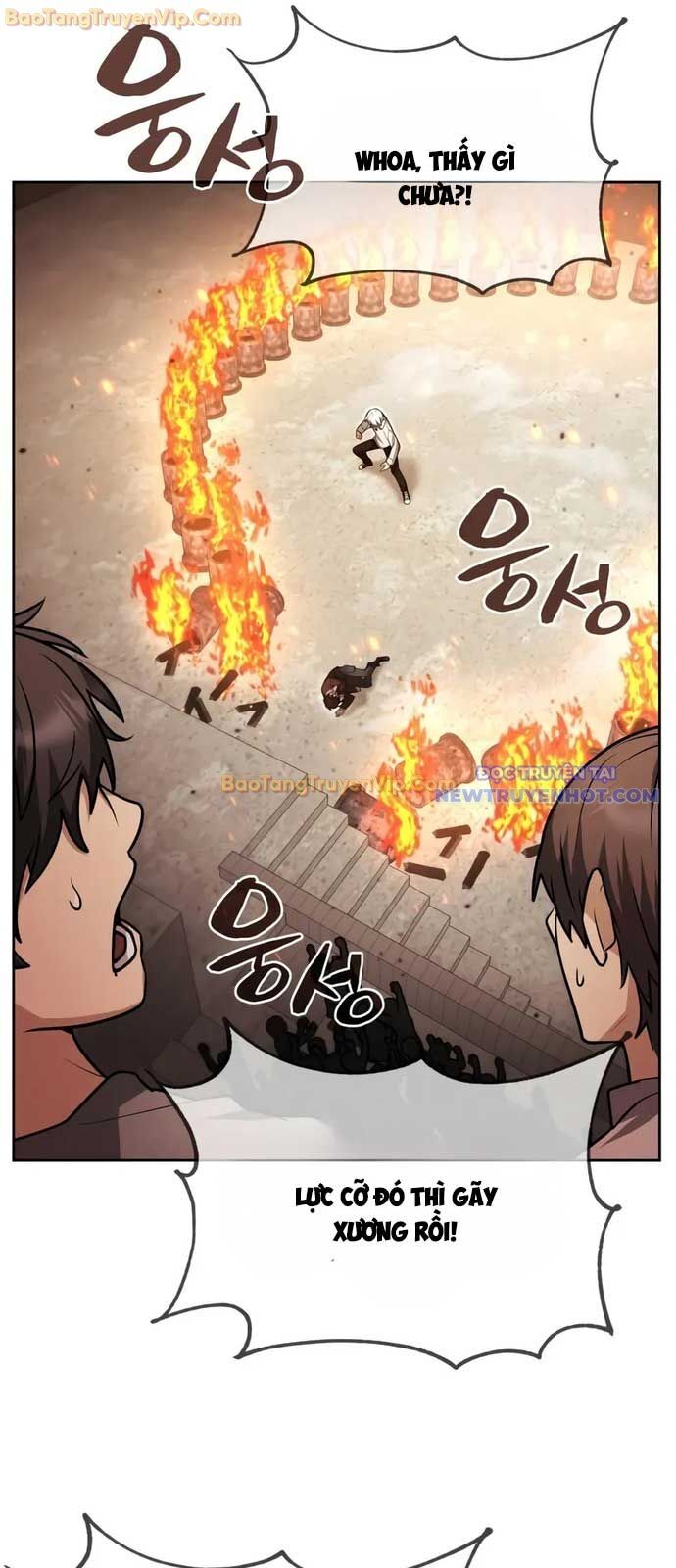 Đa Sắc Ma Pháp Sư Thiên Tài Chapter 24 - Trang 21