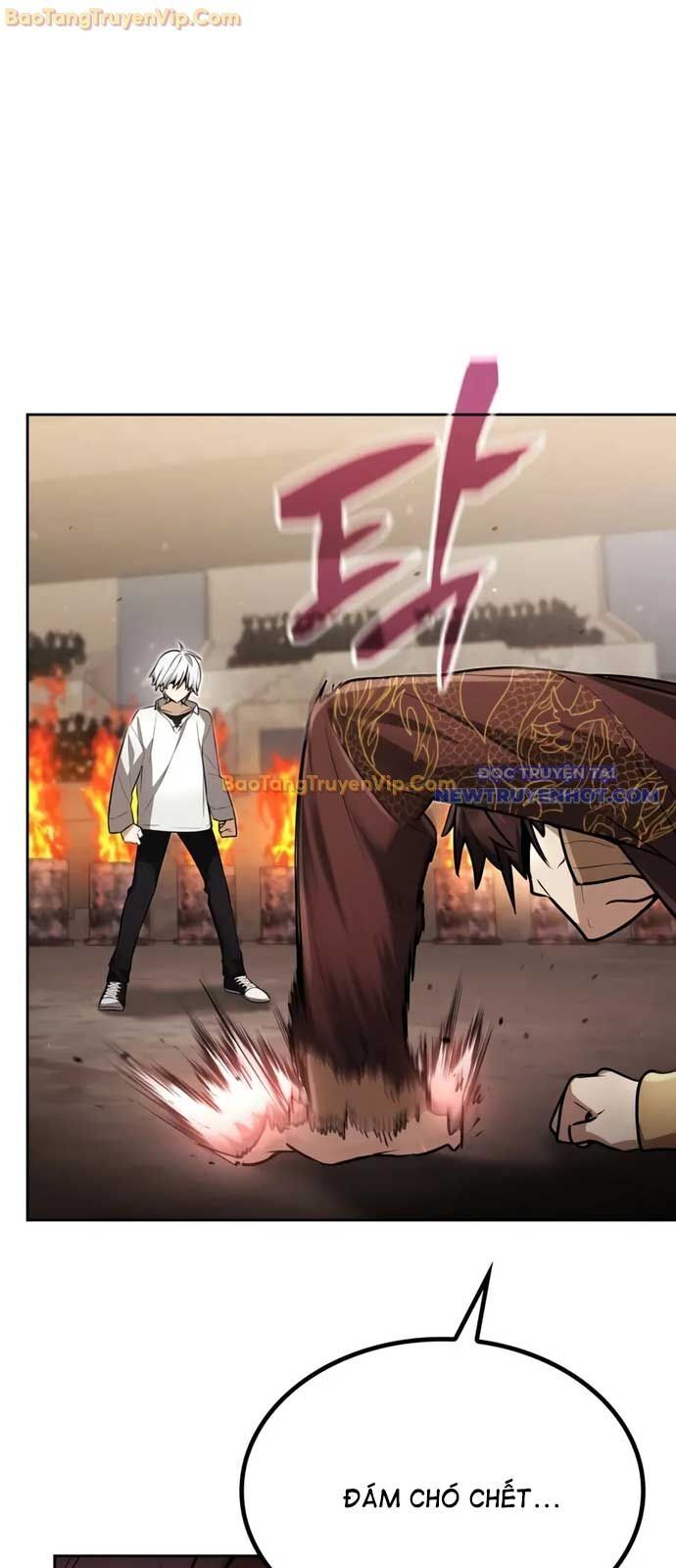 Đa Sắc Ma Pháp Sư Thiên Tài Chapter 24 - Trang 26