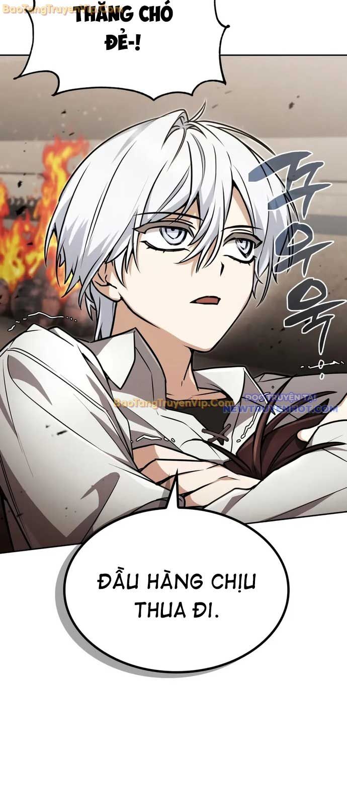 Đa Sắc Ma Pháp Sư Thiên Tài Chapter 24 - Trang 48